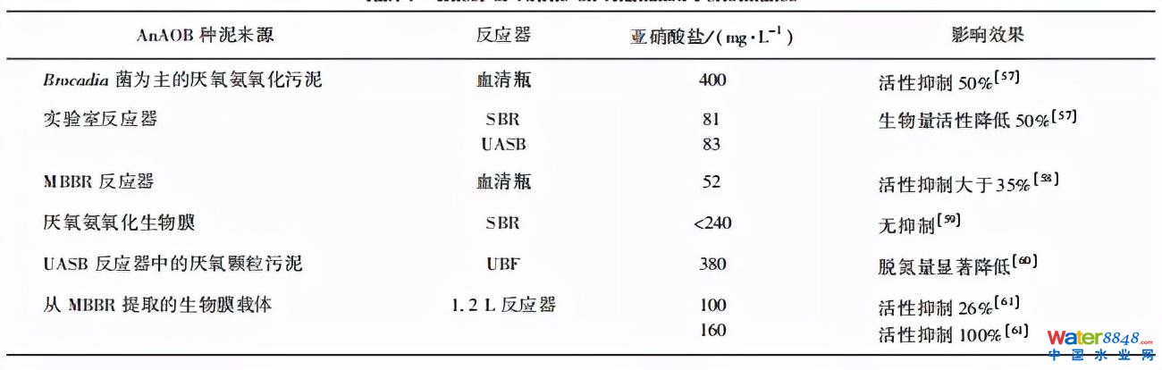水務(wù)看點(diǎn) | 王胤:主流厭氧氨氧化工藝的研究與應(yīng)用進(jìn)展