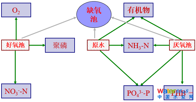 從幾個(gè)常見(jiàn)現(xiàn)象談污水處理廠(chǎng)設(shè)計(jì)和運(yùn)行的精細(xì)化問(wèn)題