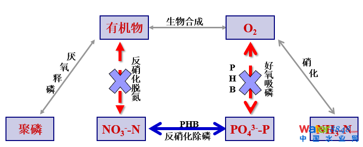 從幾個(gè)常見(jiàn)現(xiàn)象談污水處理廠(chǎng)設(shè)計(jì)和運(yùn)行的精細(xì)化問(wèn)題