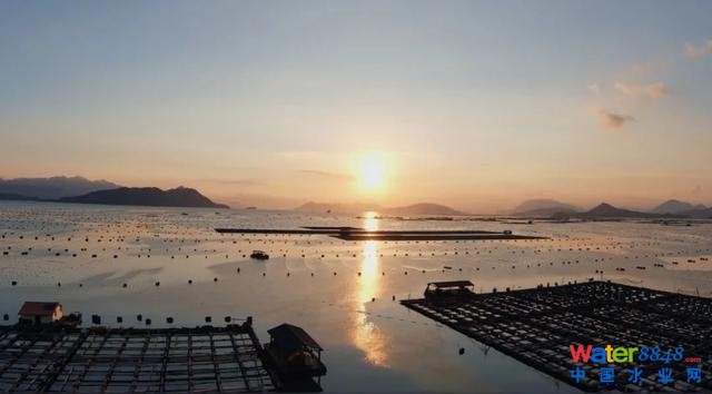 廣西衛(wèi)視對話中國工程院院士高從堦:廣西海洋經濟大有可為